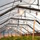 Agriculture Single-Span Blackout Pe Automatic System Greenhouse For Vegetables And Flowers