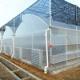 PE Plastic Film Greenhouse Multi Span Sawtooth Turnkey Project