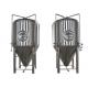 Restaurant Alcohol Conical Beer Stainless Steel Fermenter Micro Brewing Equipment