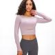 Padded Hot Hollow Sports Long Sleeve Yoga Shirt Gym Plain Crop Top Womens Workout Shirts