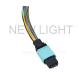 OEM MPO MTP Cable OM3 Straight 10Gb , Multimode 50/125 Fiber Optic Patch Cable