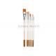 6Pcs Artist Paint Brushes Set For Acrylic Watercolor Oil Painting Craft Nail Face