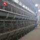 Automatic Chicken Broilers Cage System 4 Tiers 5 Tiers H Type Poultry Farm Shed