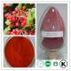 Cranberry Extract 30%-50% Proanthocyanidin