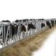 Hot Dip Galvanized Cow Head Lock Dairy Safe And Sturdy Farm Feeding Equipment