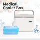 Cold Chain Ice Chest Cooler Box 5 Liter Cool Box For Insulin