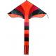 Personalized Delta Wing Kite Various Color For Children Playing 100% Nylon Material