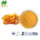 Sea Buckthorn Fruit Extract Flavones/Polysaccharide Concentrated Juice Powder 90106-68-6