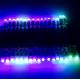 50pcs 12mm WS2811 IC Round LED Pixel Module Exposed Light RGB Color String