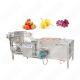 Manufacturer Multi-Function Factory Water Ions Date Food Washing Machine