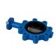 ANSI JIS DN20 Manual Cast Iron Lug Type Butterfly Valve for Low Temp Media