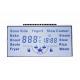 3.6V Numeric LCD Display  / TN Segment LCD Screen For Energy Meter