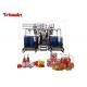 5tph Tomato Puree Processing Plant With Big Aseptic Drum Packing 1 Year Warranty