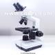 WF10X Double Layers Mechanical Stage Biological Microscope A11.1316 With LED Lamp 1W Light Source