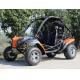 Forest Road / Riverbed 2 Seater Adult Go Kart Buggy With Front And Rear Disc Brake