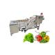 Vegetable Fruit SUS304 500kg/h Air Bubble Washing Machine