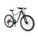 22 Speed Hydraulic Disc Brake Mountain Bike for 29er Aluminum Material and Construction
