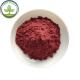 Best Selling Products Organic Acai Berry Powder In Bulk Stock
