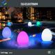 Outdoor IP65 Egg Shaped Table Lamp With Remote Control Rechargeable