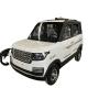 Affordable 5-Door 4-Seater SUV Electric Car with Solar Panel
