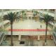 Outdoor Artificial Date Palm Tree Fiberglass Material For Water Park