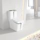 Square WC Siphonic Flush Sanitary Ware Toilet Self Cleaning Spray