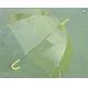Light Yellow POE Clear See Through Umbrella Auto Open Metal Frame With Flute Rbis