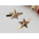 Star Shape Zinc Alloy Buckle , Fashion Shoe Buckles For Gifts Shoe / Ladies Shoe