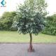 Customized Design Artificial Evergreen Trees , Wood Trunk Faux Oak Tree