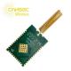 Long Range Sub 1 Ghz Module Cansec Wireless 1.8v
