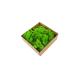 Wedding Preserved Natural Moss , Preserved Moss Wall Decoration