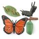 Realistic 4 PCS Butterfly Animal Life Cycle Insect Growth Model Toys Party Favors Toy for Boys Girls Kids