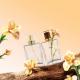 50ml Transparent Glass Clear Rectangle Bottle With Transparent Lid For Cosmetic Glass Bottles