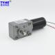 Dual Shaft 24V DC Micro Worm Gear Motor 90 Degree Right Angle
