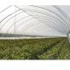 White Color Tunnel Plastic Greenhouse Upright Section Circular / Rectangular / U Shaped