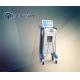 latest scar removal machine double heads fractional rf microneedle hot sale