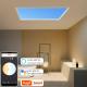 110V 220V Indoor LED Sky Ceilings , No Flicker Artificial Sunlight LED