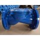 Cast Ductile Iron Check Valve DN50 Pn16 Ggg50 DIN Flanged Swing Check Valve