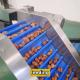 Maximizing Productivity In Date Sorting Machine Hourly Capacity Up To 2 Tons
