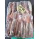 300g 400g Healsea Argentina BQF Frozen Illex Squid
