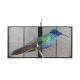 High Brightness Transparent LED Panel Display For Glass Window Invisible Video Screen