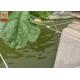 PP Materials Plant Climbing Netting Insect Barrier Netting 3.0M Wide