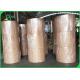 White Paper Poly Coated Cup Paper For Hot And Cold Beverage Drinking Cups