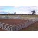 Galvanized Pipes Easily Assembled Sheep Fence Panels