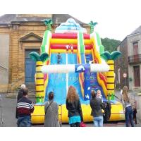 Palm Tree Bouncy Castle Commercial Inflatable Slide For Amusement Park