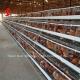 Discount A Type Poultry Battery Cage For Layer Sale 160 birds In Zambia Adela