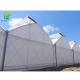 Hot Galvanized Steel Structure Plastic Film Greenhouses Multi Span Agricultural