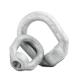 General Industry Forged Steel Electric Pole Hardware Oval Eye Nut with DIN Standard