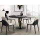 Irregular Contemporary Design Ceramic Marble Dining Table