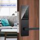 black FCC CE ROHS BLE Wifi Keypad Door Lock For Home Apartment